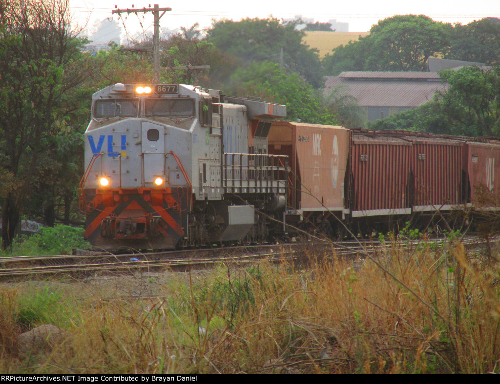 VLI 8677